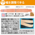 ペルビスフォークの特徴1