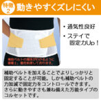 男女兼用の固定力抜群の腰痛ベルト ガード・メッシュA