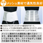 安心ノンホルマリン素材の腰痛ベルト プロガードライト・メッシュ