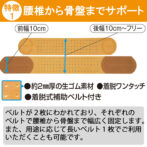 2本のベルトで骨盤と腰椎を同時固定できる骨盤ベルト ジョイントラバーバンド